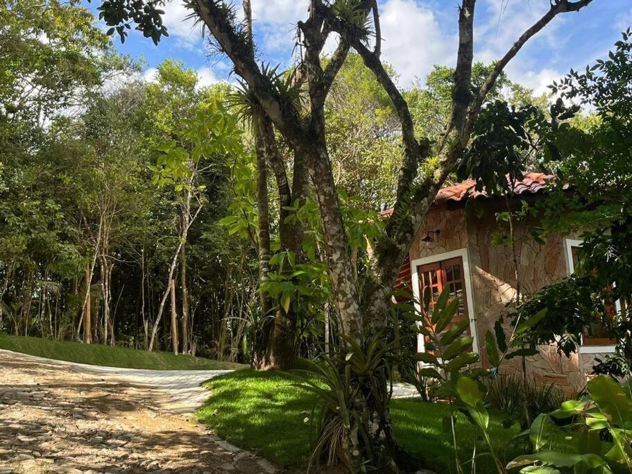Chale Carolina Bela Villa Guaramiranga Kültér fotó